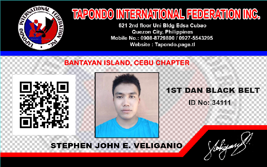 STEPHEN JOHN E. VELIGANIO